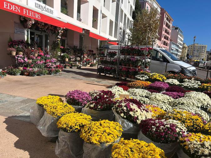 Toussaint et Chrysanthèmes : Une double tradition qui perdure en Corse selon les fleuristes ajacciens Toussaint et Chrysanthèmes : Une double tradition qui perdure en Corse selon les fleuristes ajacciens