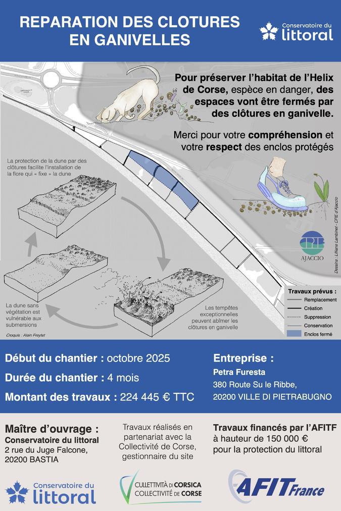 Ajaccio : au Ricanto, les travaux débutent pour restaurer le dispositif de protection de la lande Ajaccio : au Ricanto, les travaux débutent pour restaurer le dispositif de protection de la lande