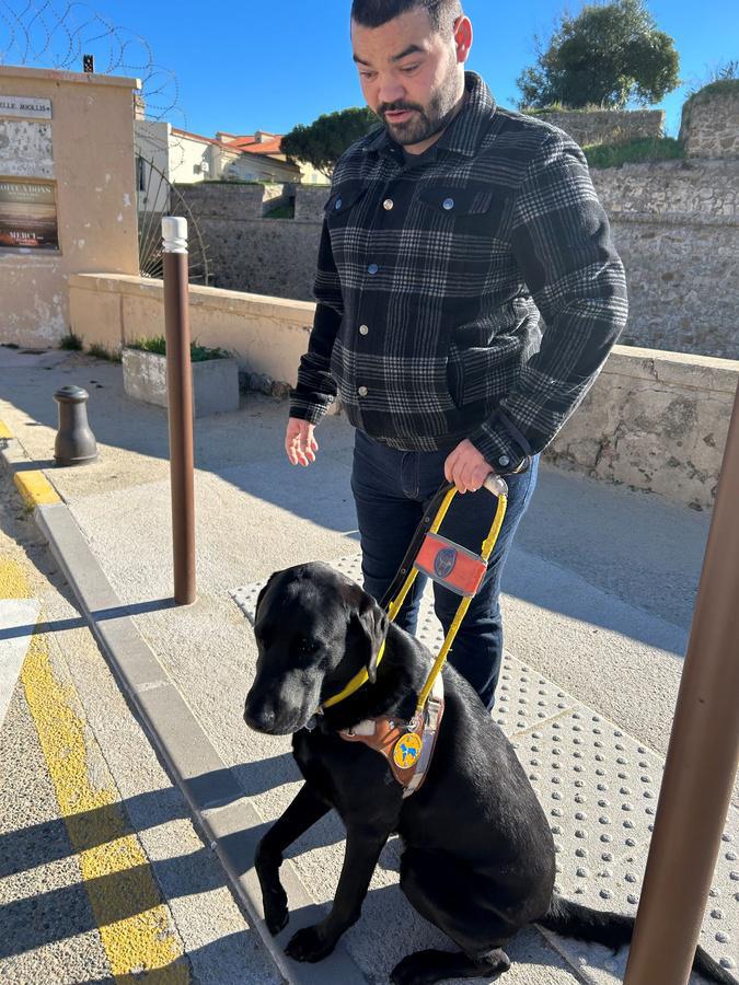 Tony et Scoobidou cherchent des bénévoles pour la nouvelle antenne corse des Chiens Guides d’Aveugles
