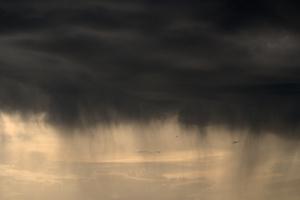 « Chambre 207 », une exposition très intimiste du photographe de Jean-Michel André au centre culturel Una Volta à Bastia « Chambre 207 », une exposition très intimiste du photographe de Jean-Michel André au centre culturel Una Volta à Bastia