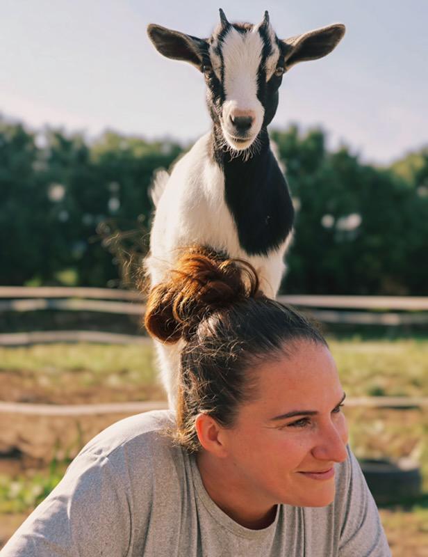 À Feliceto, un élevage rare de chèvres miniatures À Feliceto, un élevage rare de chèvres miniatures