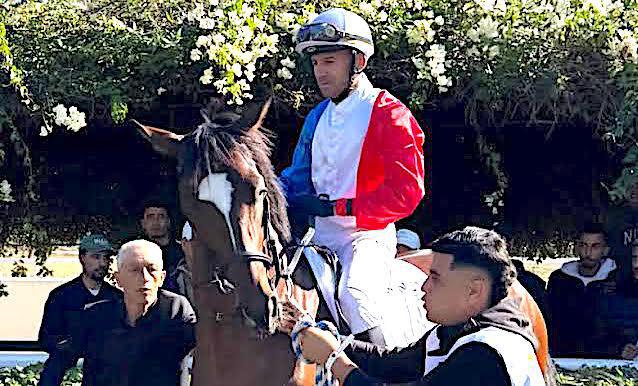 Hippisme - Alexandre Lastrajoli 4e à Casablanca Hippisme - Alexandre Lastrajoli 4e à Casablanca