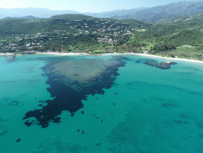 GRRInPort2 : un projet entre la Corse et l’Italie pour protéger les côtes et la biodiversité GRRInPort2 : un projet entre la Corse et l’Italie pour protéger les côtes et la biodiversité