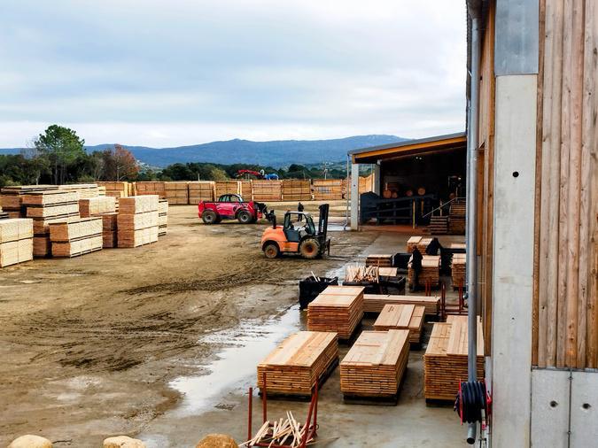 Sotta - Comment la nouvelle scierie portée par Delta Bois tente de relancer la filière insulaire