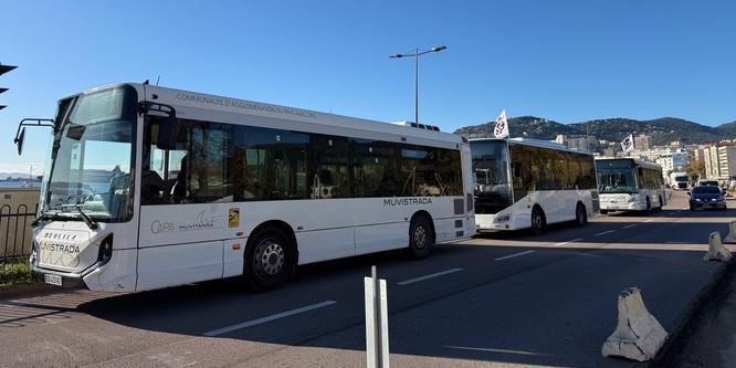 Confit des bus à Ajaccio : la CCI alerte sur un conflit qui dépasse "le seuil de soutenabilité pour le tissu commercial de la Ville"