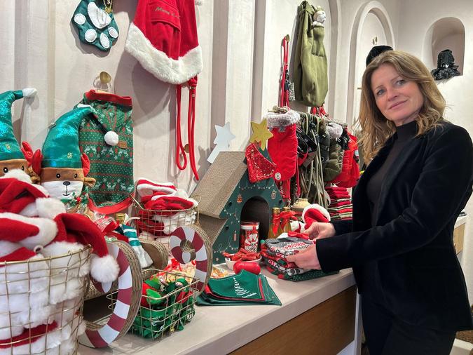 Noël : Quand nos compagnons à quatre pattes s'invitent au pied du sapin