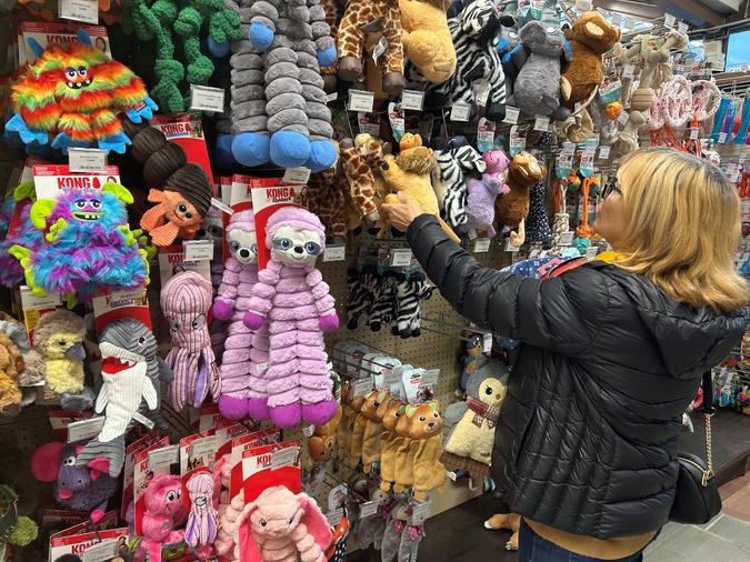 Noël : Quand nos compagnons à quatre pattes s'invitent au pied du sapin