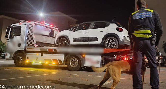 Cervioni : opération de contrôle contre les stupéfiants au volant