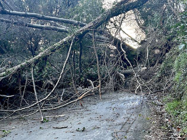Vallée de Lota - Éboulement important entre San Martinu et Figarella Vallée de Lota - Éboulement important entre San Martinu et Figarella