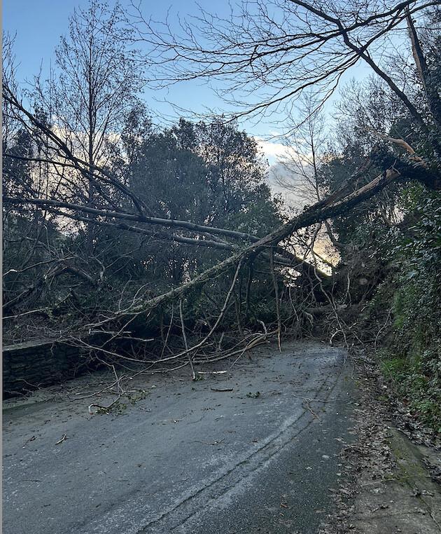 Vallée de Lota - Éboulement important entre San Martinu et Figarella Vallée de Lota - Éboulement important entre San Martinu et Figarella
