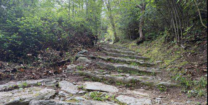 A màghjina - Una vechja ricciata in a pieve di Lota