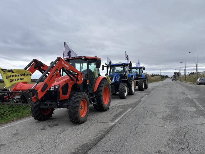 Crise agricole : les agriculteurs corses rejoignent le convoi national
