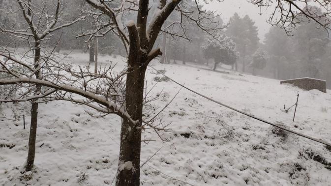 Jusqu’à -7°C localement : la Corse face à un épisode hivernal dès la nuit prochaine