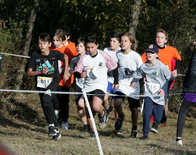 Athlétisme - Corte, capitale régionale du cross-country ce dimanche Athlétisme - Corte, capitale régionale du cross-country ce dimanche