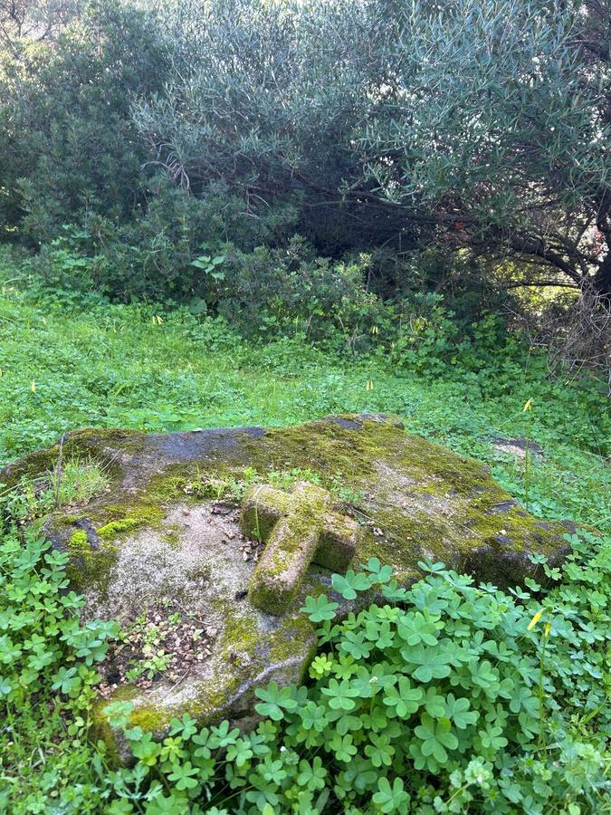 Ajaccio : Une association au chevet des 150 chapelles et sépultures de la route des Sanguinaires Ajaccio : Une association au chevet des 150 chapelles et sépultures de la route des Sanguinaires