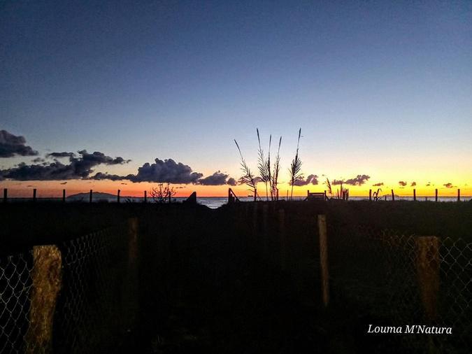 A màghjina - L’alba face capu nant’à a Marana