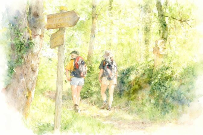 Quels sont les projets lauréats du budget participatif 2025 à Bastia ? Quels sont les projets lauréats du budget participatif 2025 à Bastia ?