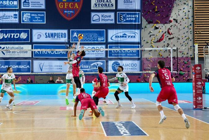 MSL Volley - Le GFC Ajaccio battu par Tourcoing au Palatinu