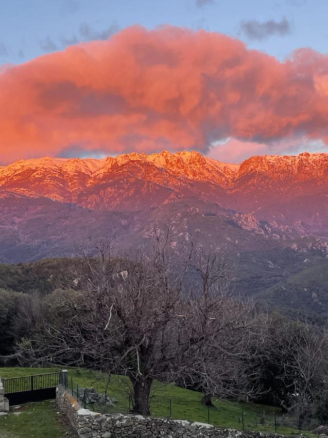 A màghjina : E cime innevate di u Fium’Orbu à l'alba