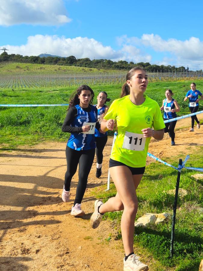 Cross- country : Plus de 400 participants dans les vignes du Domaine Peraldi à Ajaccio Cross- country : Plus de 400 participants dans les vignes du Domaine Peraldi à Ajaccio