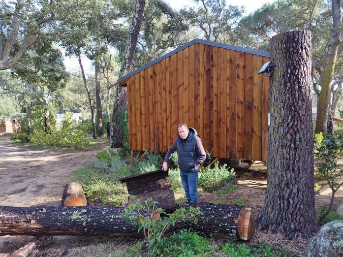 Insectes ravageurs : faut-il s’inquiéter pour le pin maritime en Corse ? Insectes ravageurs : faut-il s’inquiéter pour le pin maritime en Corse ?