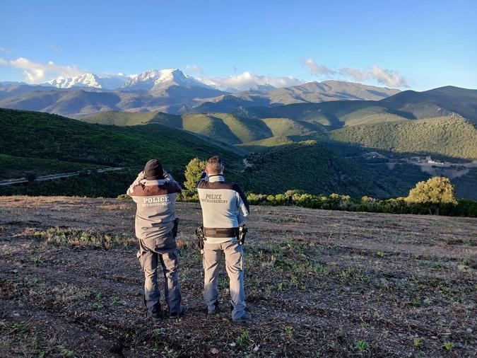 Braconnage, sécurité et respect des quotas de prélèvements : 7 journées de surveillance, 90 chasseurs et 1 829 véhicules contrôlés en Haute-Corse