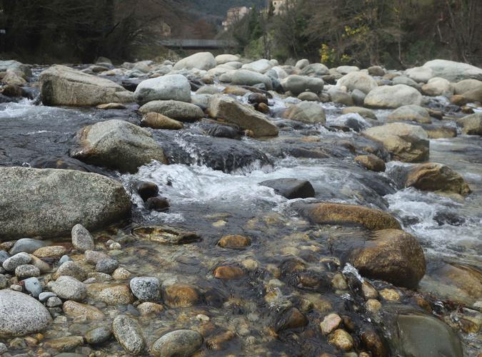 Corte : Faut-il s’inquiéter de la prolifération d’algues brunes dans nos cours d’eau ? Corte : Faut-il s’inquiéter de la prolifération d’algues brunes dans nos cours d’eau ?