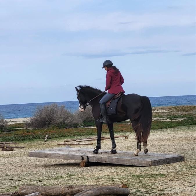 Lozari - Concours équestre de Mountain Trail Lozari - Concours équestre de Mountain Trail