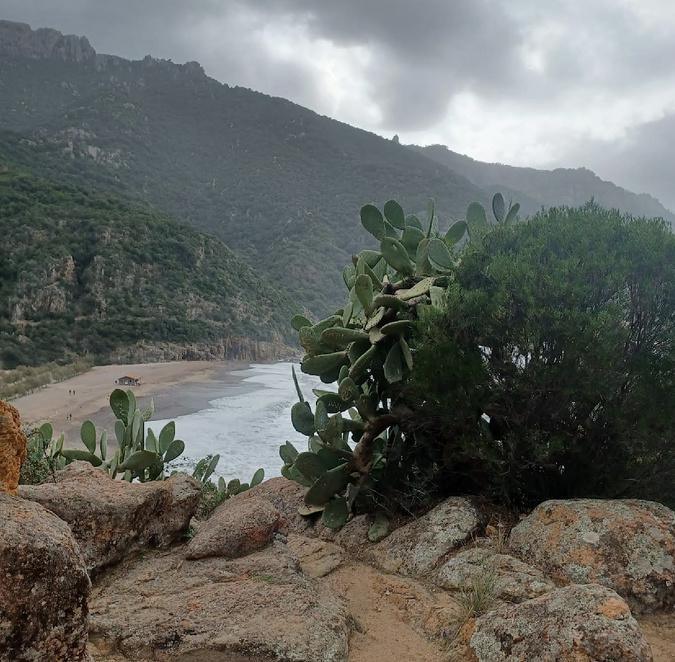 A màghjina - Portu, silenziu d’inguernu