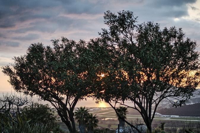 A màghjina - Aiacciu, sole è aliva di pace