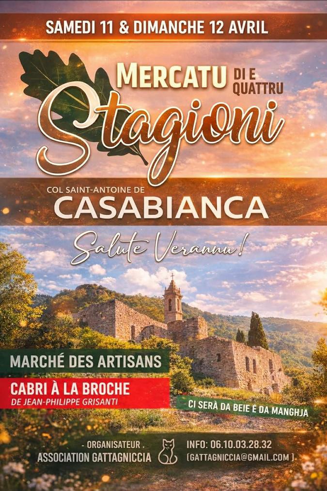 En Castagniccia, l’association Gattagniccia se mobilise pour les chats errants En Castagniccia, l’association Gattagniccia se mobilise pour les chats errants