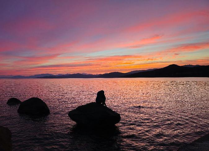A màghjina - A donna di l’Isula aspetta l’alba nant’à u scogliu