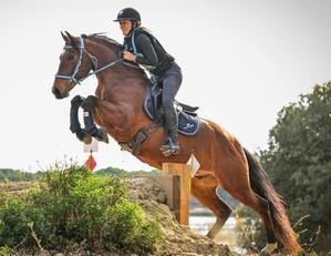Équitation : la Corse accueille pour la première fois une épreuve de TREC Équitation : la Corse accueille pour la première fois une épreuve de TREC