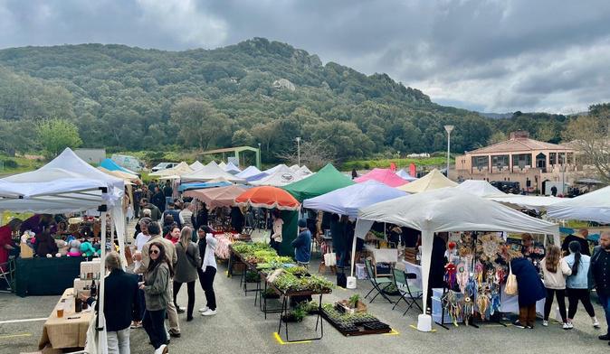 À Sartène, la Fiera di u Campus AgriCorsica cultive son ancrage local À Sartène, la Fiera di u Campus AgriCorsica cultive son ancrage local