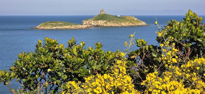 A màghjina - E Finuchjarole, gioiellu salvaticu di Capicorsu A màghjina - E Finuchjarole, gioiellu salvaticu di Capicorsu