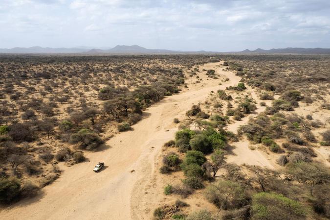 Corte : Bianchi Safaris, pour des souvenirs mémorables !