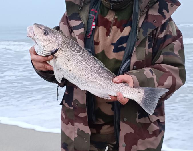 Pêche en mer : 2e édition de l’Open Surfcasting du Fium’orbu-Castellu-Oriente les 24 et 25 avril Pêche en mer : 2e édition de l’Open Surfcasting du Fium’orbu-Castellu-Oriente les 24 et 25 avril