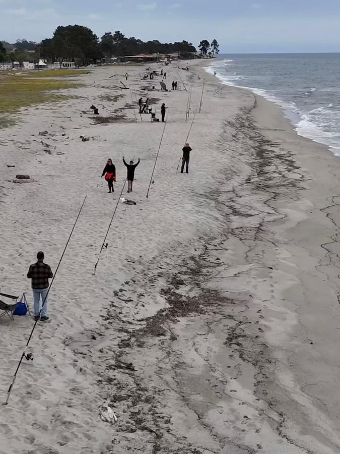 Pêche en mer : 2e édition de l’Open Surfcasting du Fium’orbu-Castellu-Oriente les 24 et 25 avril Pêche en mer : 2e édition de l’Open Surfcasting du Fium’orbu-Castellu-Oriente les 24 et 25 avril