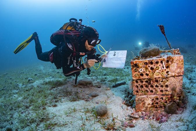 Starecorsica : une mission inédite pour prendre le pouls de la mer autour de la Corse