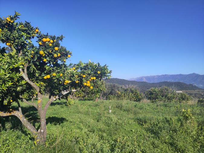 À Ajaccio, des terres privées mises au service de la nature À Ajaccio, des terres privées mises au service de la nature