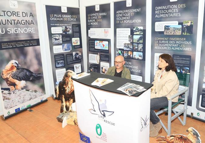 Corte : le 4e Salon de la chasse à l’affût jusqu’à dimanche