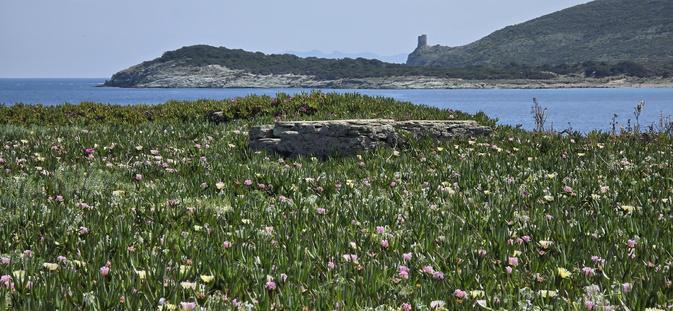 A màghjina - Veranu sott’à a torra d'Agnellu