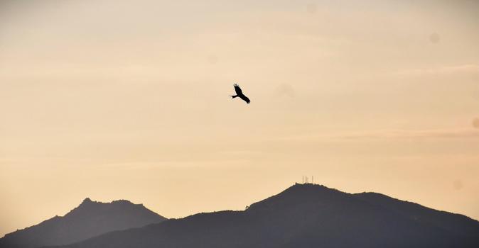 A màghjina - U filanciu, patrone di u celu ajaccinu