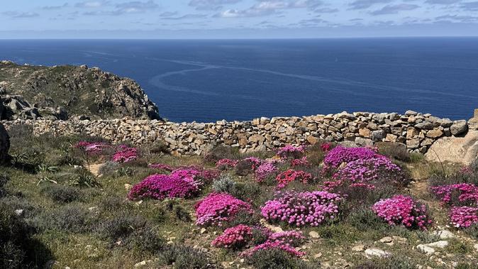 A màghjina - U veranu di A Revellata