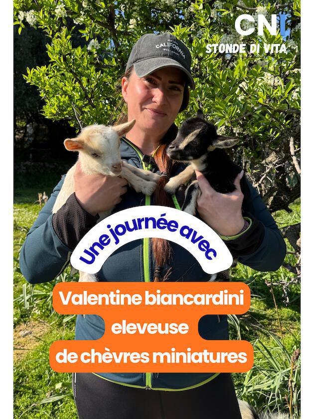 Stonde di vita avec… Valentine biancardini éleveuse de chèvres miniatures