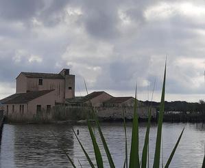 U tempu in Corsica