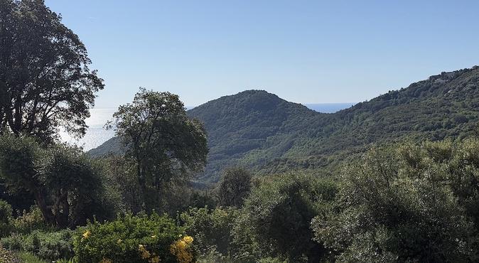 U tempu in Corsica