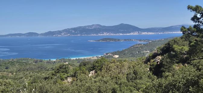 U tempu in Corsica