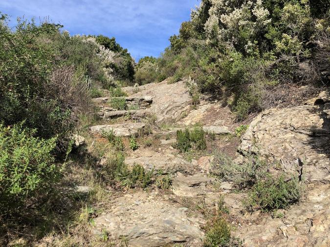 U tempu in Corsica