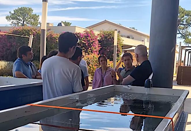 Stella Mare exporte son savoir-faire : une délégation maltaise vient voir ses oursins "made in Corse" Stella Mare exporte son savoir-faire : une délégation maltaise vient voir ses oursins "made in Corse"